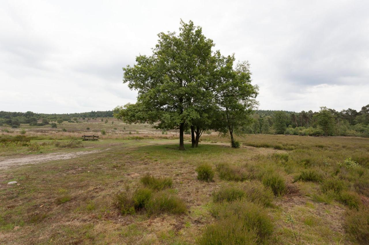 Chalet Hoenderloo Beuk Dış mekan fotoğraf